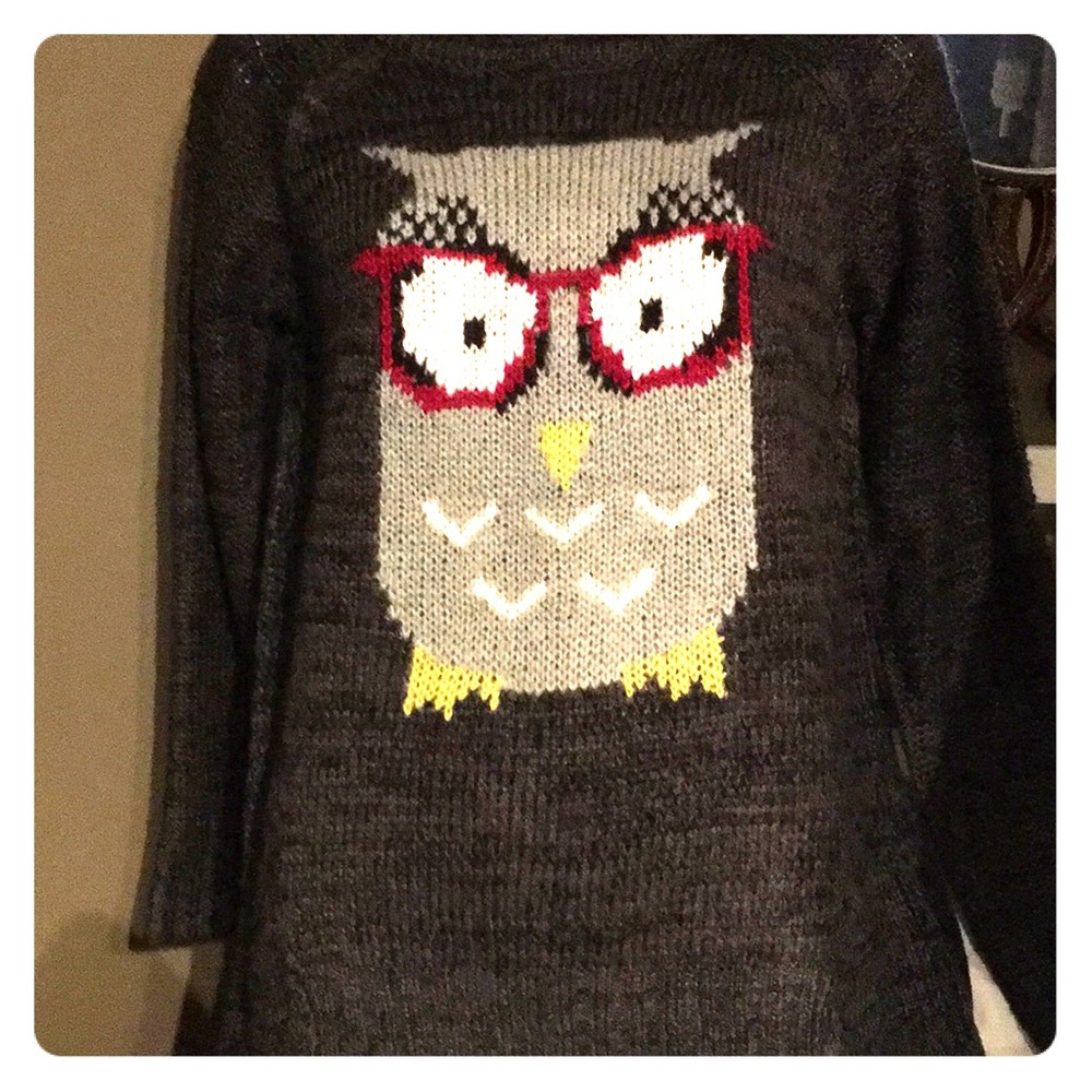 🆕 Democracy Owl 🦉 Sweater. NWT. SIZE SMALL